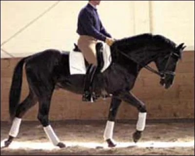 Le pas est une allure :