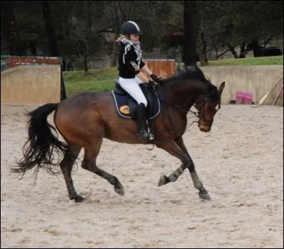 Quelle est la définition de l'incurvation ?