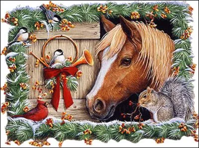 Combien d'oiseaux voit-on sur cette image ?