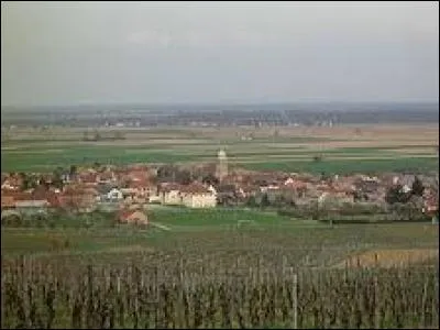 Bergholtz est un village haut-rhinois situé dans la nouvelle région ...