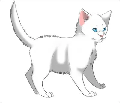 Par quel animal Patte de Givre s'est-il fait enlever ?