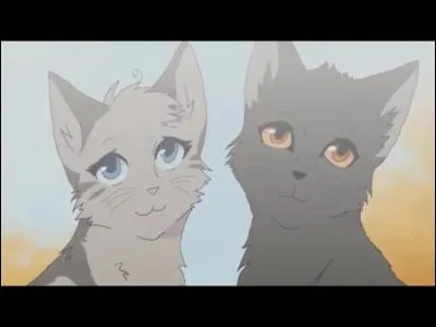 Comment les chatons de Plume Grise s'appellent-ils ?