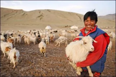 Comment s'appellent les habitants du Tibet ?
