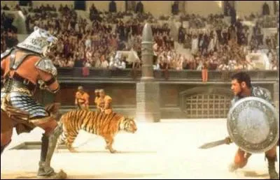 Quels sont les divertissements à Pompéi ?