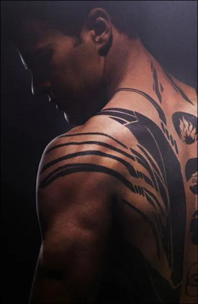 Combien y a t-il de factions ?