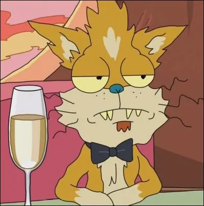 Qu'y a-t-il d'écrit sur le bracelet que Squanchy rejette lors du mariage de Tamy ?