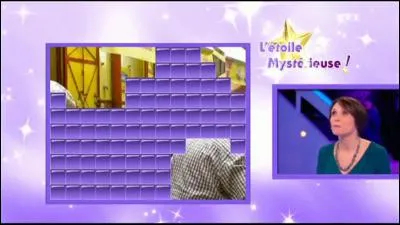 À la fin de chaque émission, le candidat doit découvrir qui se cache derrière l'"Étoile mystérieuse". Quelle est cette émission ?
