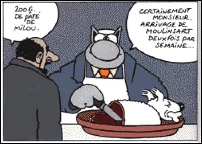 D'où provient l'arrivage selon Le Chat ?