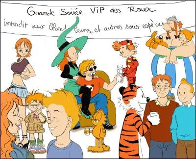 Où est l'anomalie sur l'image ?