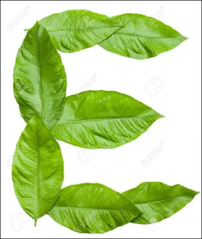 Passons à mon pays préféré. Il commence lui aussi par un 'E'. Je rêve d'y aller, je parle bien sûr...