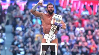 Qui fut le gagnant de l'Intercontinental Championship Ladder Match et donc devient le nouveau champion ?