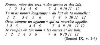 Comment appelle-t-on un vers qui contient 12 syllabes ?