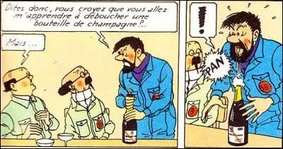 La Syldavie - base secr&egrave;te - 16&egrave;me album de la s&eacute;rie Tintin et Milou - l'ing&eacute;nieur Frank Wolff