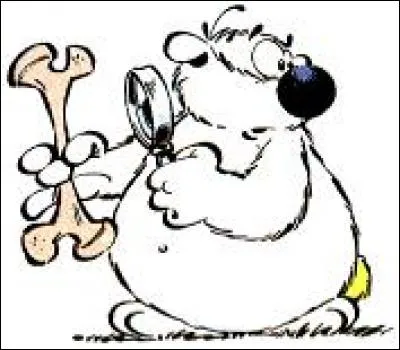 Le cubitus est un os...