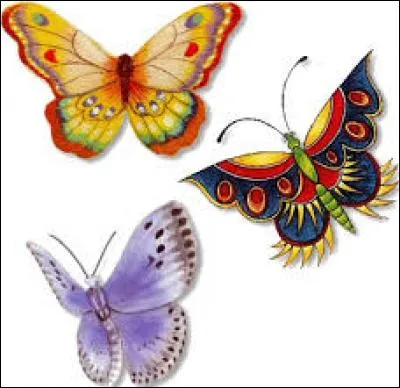 "Angle". Soyez gentil, laissez cette lettre s'envoler et vous en serez un !