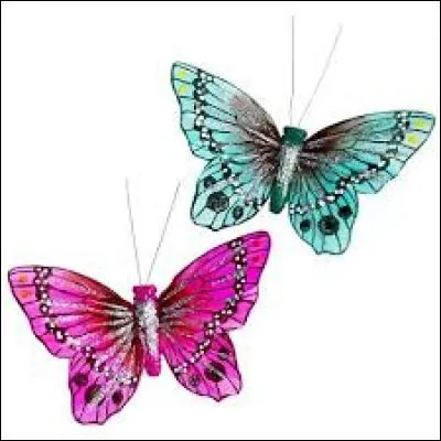 "Poison". Cette lettre s'envole, le petit de l'oie apparaît !