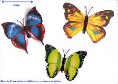 "Poulpe". Synonyme du nouveau mot : chair !