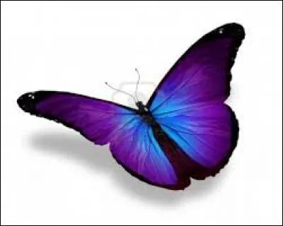 "Moutarde". Dès que cette lettre s'envole, une femme vêtue de cuir apparaît sur son deux-roues !