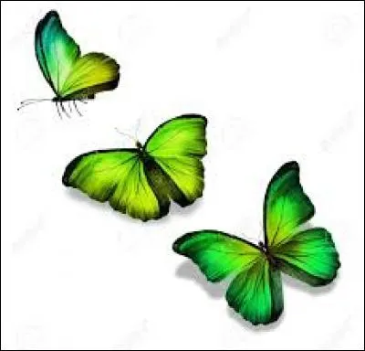 "Baster". Sans cette lettre, vous aurez une jolie fleur.