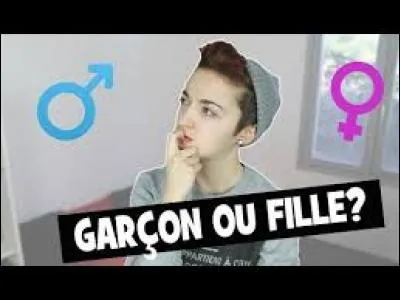 Quelles sont ses activités ?