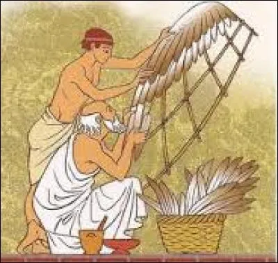 Quel architecte a enfermé le Minotaure dans un labyrinthe ?