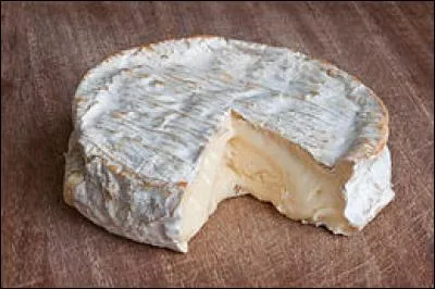 Fromage au lait de vache, à pâte molle, non pressée et non cuite composé de 45 à 50 % de matières grasses - originaire de Seine et Marne - un des fleurons du patrimoine fromager français