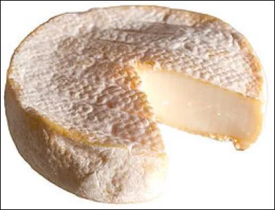 Fromage suisse à pâte molle à croûte fleurie - fromage à base de lait de vache au goût typé et au cur moelleux - parfois aromatisée au cumin, au poivre ou à l'ail des Ours