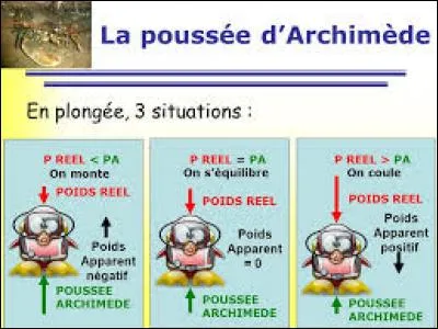 Comment appelle-t-on le poids prenant en compte les effets gravitationnels et inertiels, mais également des forces comme la poussée d'Archimède ?