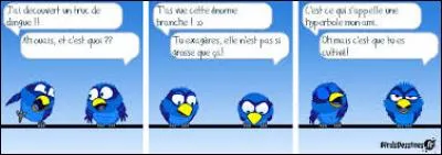 Laquelle de ces figures de style est une figure d'exagération ?