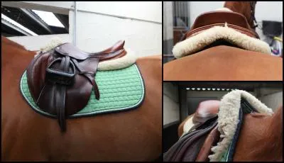 Que met-on entre le tapis et la selle d'un cheval ?
