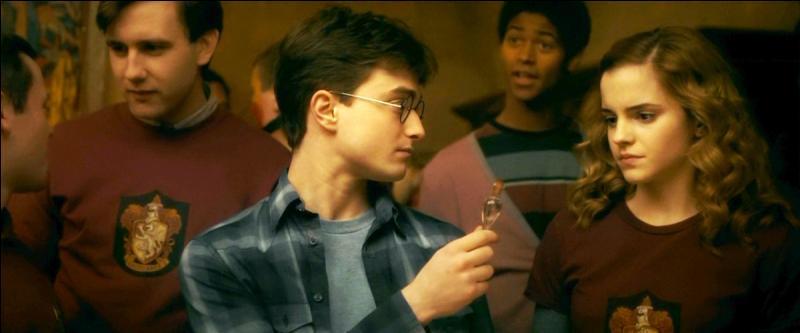 Le lendemain, Harry prépara un antidote pour libérer Hermione de son enchantement. Il n'était pas conscient de ses actes car le songe se prolongeait et on continuait de plonger Harry dans une transe.