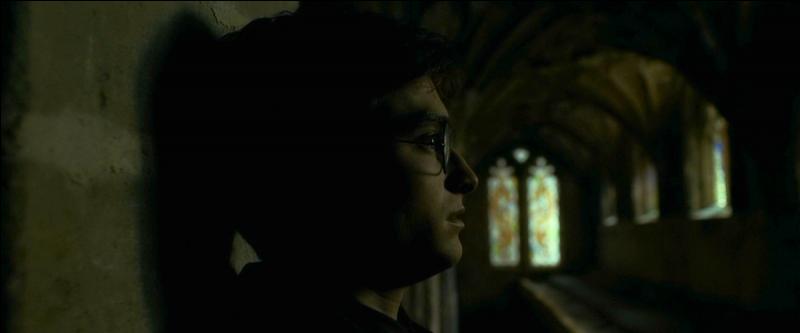 Harry, toujours fou de Ginny, découvrit son corps sans vie au milieu d'une mare noirâtre. L'horreur, la culpabilité et la tristesse l'empêchèrent de penser avec discernement et c'est sur Ronald qu'il jeta son verdict.