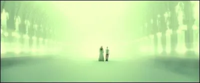 Une nuit, on fit éclater la vérité à Harry par le biais d'un songe. On apprit à Harry que le destin l'avait dupé, on lui renseigna les personnes visées et les hommes ____ , les victimes et les bourreaux.