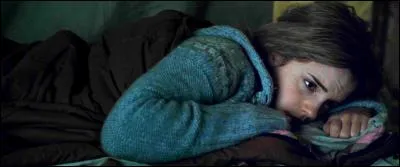 Hermione fut libérée de toute passion factice, et fut alors horrifiée de voir Harry dans les bras de cette Ginny. Désemparée, elle céda à ses pleurs et entra dans une léthargie qui s'éternisa.