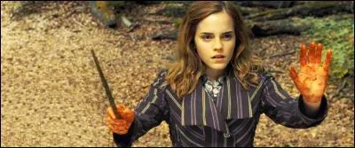 La colère finit par étouffer son chagrin et la vengeance se substitua à son malheur. Après de longues délibérations, Hermione tua Ginny. C'était le seul moyen pour faire revenir Harry à la raison