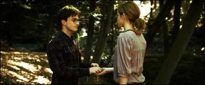 Hermione vit Harry, Harry vit Hermione : l'amour qu'ils se manifestaient l'un pour l'autre jaillit à nouveau et illumina leur cur.