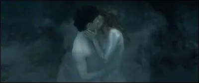 Harry et Hermione passèrent les plus beaux moments de leur misérable vie. Ils se marièrent, ils eurent progéniture, avec bénédiction de tout l'entourage, avec les cadeaux.