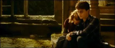 Parallèlement, une culpabilité grandissante leur dévorait petit à petit l'esprit. N'avaient-ils pas assassiné froidement deux personnes issues d'une même famille ?