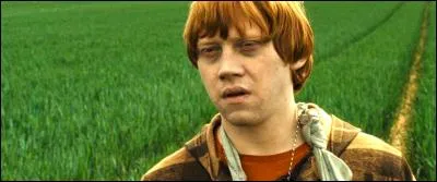 Un villageois ne participait pas à cette ____ collective. Ronald, dont la vie n'a jamais envié quiconque, se promit d'épouser la grande Hermione pour enfin s'attirer le respect des autres.