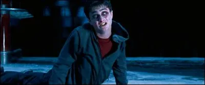 Rusé jusqu'au bout du raisonnement, Ronald ensorcela également Harry. Il pensait, à juste titre, que tout homme, fusse-t-il nommé Harry, fusse-t-il cuirassé de vertus et de bonne volonté, était en proie à ses vices, et que ceux-ci pourraient poindre dans l'esprit de quiconque voyant sa bien-aimée le quitter.