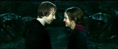 Ainsi Hermione fut attirée par Ronald, ainsi Harry tomba sous le charme de Ginny, la jeune sur du perfide mais pragmatique Ronald.