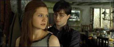 L'entière population, nobles et ignobles, châtelains et châtiés, fut étonnée de ces nouvelles alliances. Ces combinaisons semblaient si dissonantes. Mais après tout, on ne peut prédire l'amour.