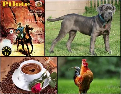 Le mot mystère est :