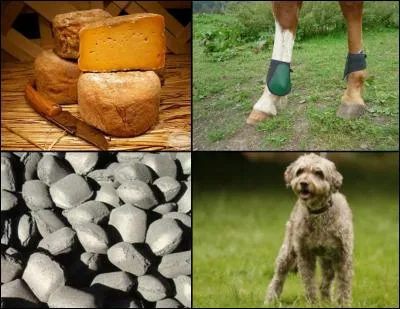 Le mot mystère est :