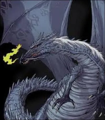 Qui dit ça dans le tome 9 ? : Oups, désolé, je n'avais pas réalisé ce que je disais. Bien sûr, je serai ravi de te monter dessus...enfin je veux dire...de ne pas te monter dessus. Enfin pas sous ta forme de dragon. Euh, je veux dire...
