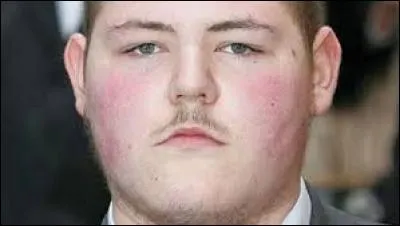 Quel rôle joue Jamie Waylett ?