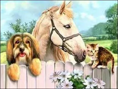 Les mygales muent-elles ?