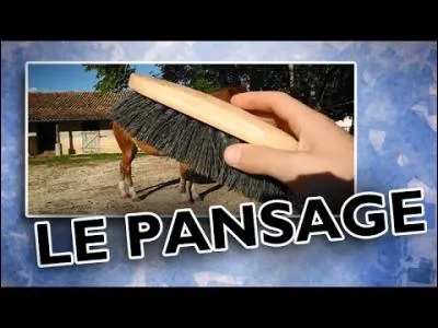 Qu'est-ce qu'un pansage ?