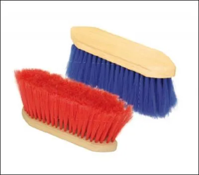 Quel(s) est(sont) cet(s) outi(s)l de pansage ?