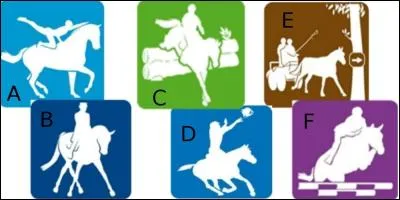 Quelle est la discipline équestre où tu ne montes pas à cheval ?